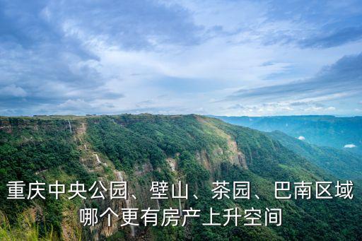 重庆中央公园、壁山、茶园、巴南区域哪个更有房产上升空间