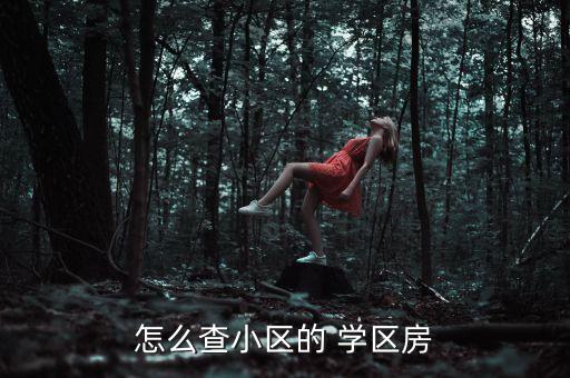 怎么查小区的 学区房