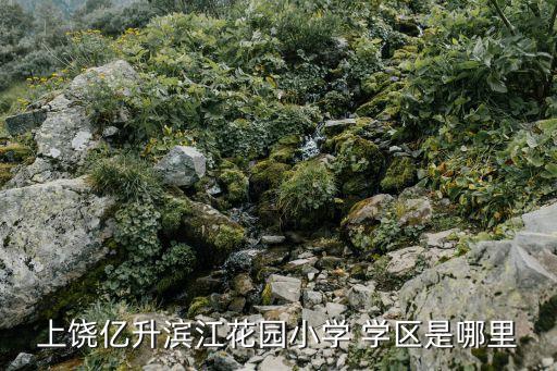 上饶亿升滨江花园小学 学区是哪里