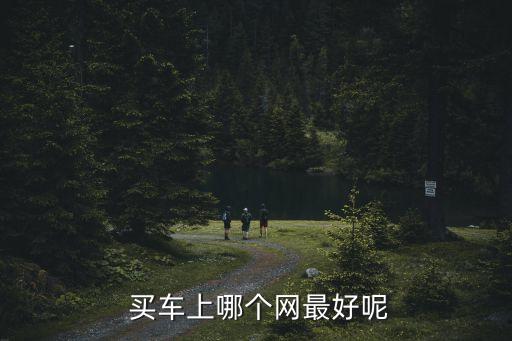  买车上哪个网最好呢