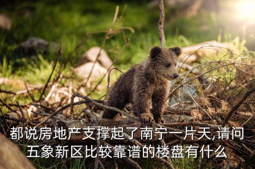 都说房地产支撑起了南宁一片天,请问五象新区比较靠谱的楼盘有什么