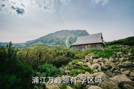 浦江万鑫源有 学区吗
