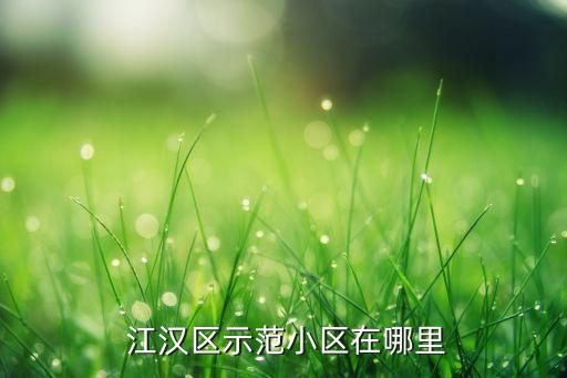  江汉区示范小区在哪里