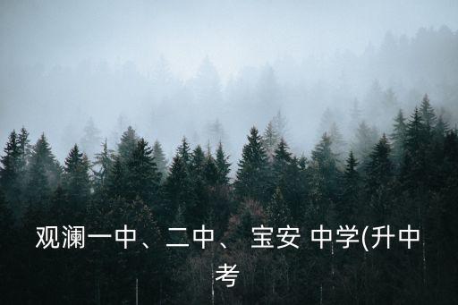 宝安中学学区房是哪里,深圳宝安中学学区房有哪些