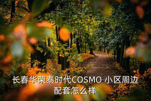 长春华荣泰时代COSMO 小区周边配套怎么样