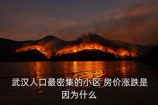  武汉人口最密集的小区 房价涨跌是因为什么