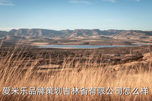 爱米乐品牌策划吉林省有限公司怎么样