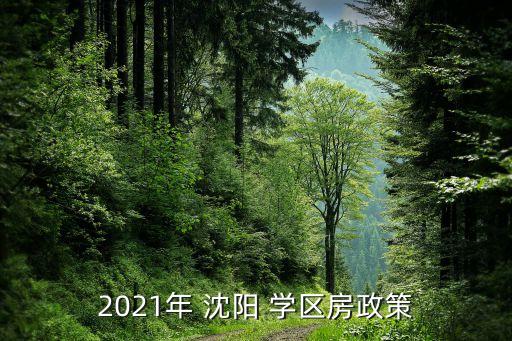 沈阳买学区房需要注意什么