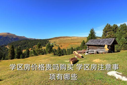  学区房价格贵吗购买 学区房注意事项有哪些