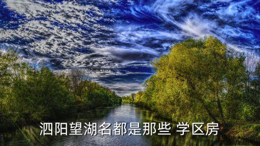 泗阳望湖名都是那些 学区房