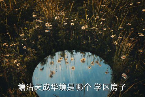 塘沽天成华境是哪个 学区房子
