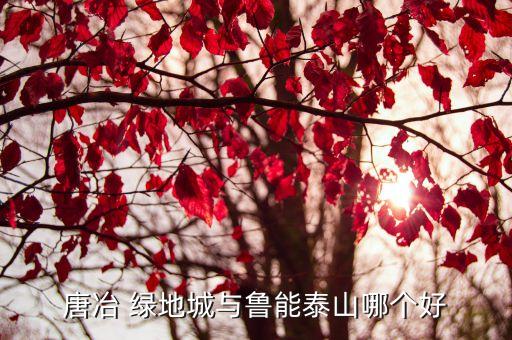 唐冶 绿地城与鲁能泰山哪个好