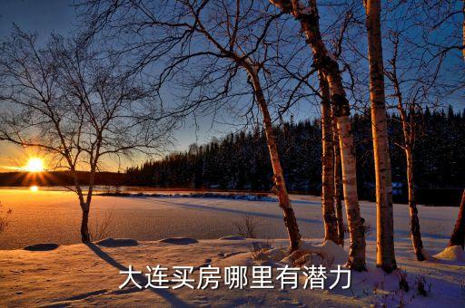  大连买房哪里有潜力