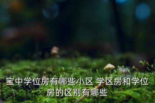 宝中学位房有哪些小区 学区房和学位房的区别有哪些