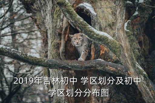 2019年吉林初中 学区划分及初中 学区划分分布图