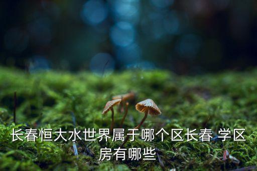 长春恒大水世界属于哪个区长春 学区房有哪些