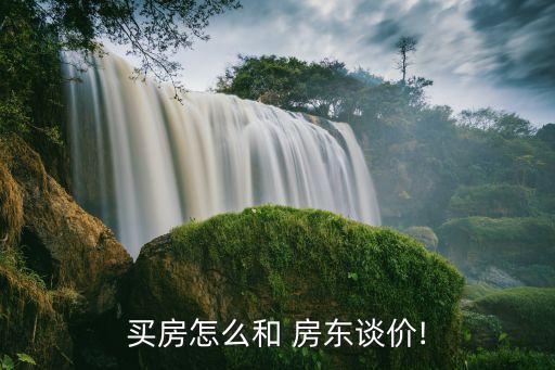 买房怎么和 房东谈价!