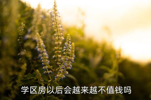  学区房以后会越来越不值钱吗