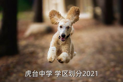 虎台中学 学区划分2021