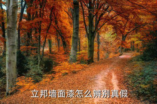立邦漆官方旗舰店,长沙立邦漆官方旗舰店