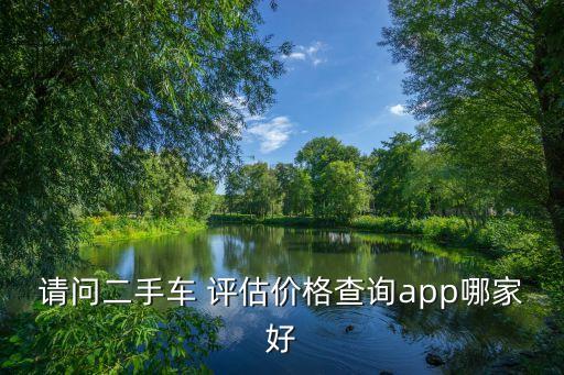 请问二手车 评估价格查询app哪家好