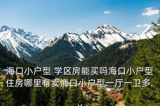 海口小户型 学区房能买吗海口小户型住房哪里有卖海口小户型一厅一卫多...