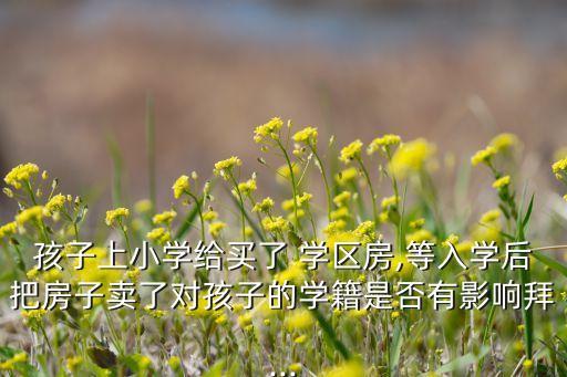 孩子上小学给买了 学区房,等入学后把房子卖了对孩子的学籍是否有影响拜...