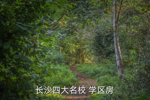 长沙四大名校 学区房