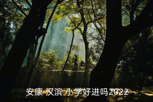  安康 汉滨 小学好进吗2022