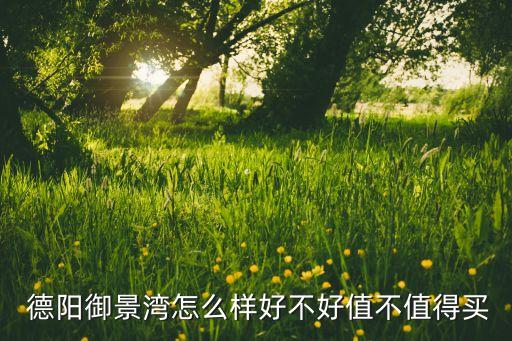 德阳哪个楼盘有学区房,德阳孝感哪个楼盘最好