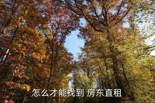 怎么才能找到 房东直租