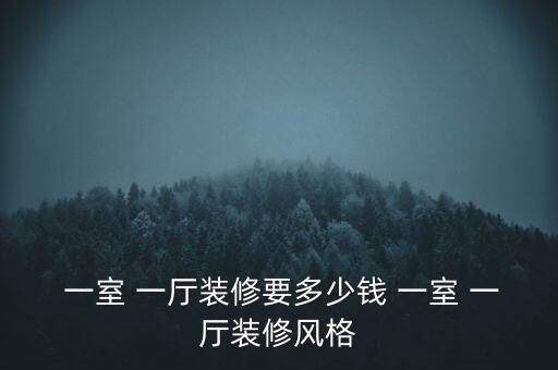  一室 一厅装修要多少钱 一室 一厅装修风格