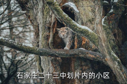 石家庄二十三中划片内的小区