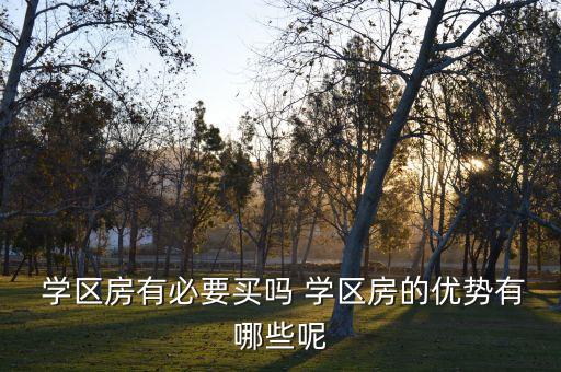  学区房有必要买吗 学区房的优势有哪些呢