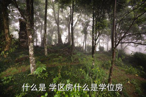 什么是 学区房什么是学位房
