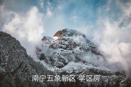  南宁五象新区 学区房