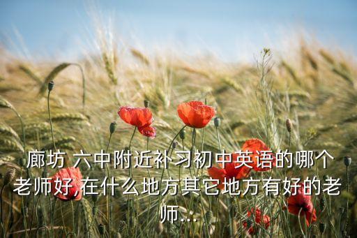  廊坊 六中附近补习初中英语的哪个老师好,在什么地方其它地方有好的老师...
