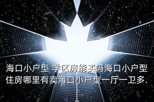 海口小户型 学区房能买吗海口小户型住房哪里有卖海口小户型一厅一卫多...