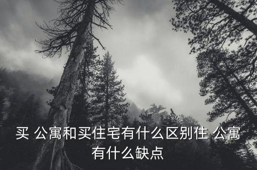 买 公寓和买住宅有什么区别住 公寓有什么缺点