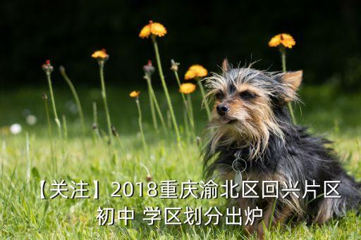 新康中学学区房有哪些楼盘