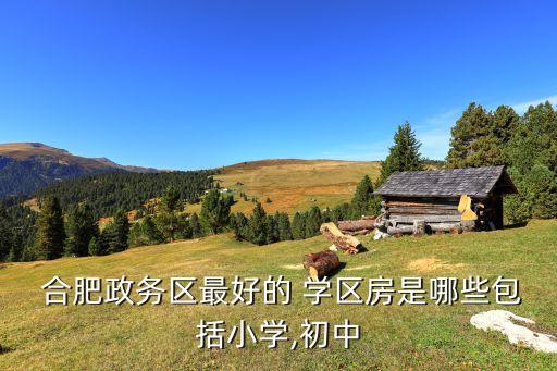  合肥政务区最好的 学区房是哪些包括小学,初中