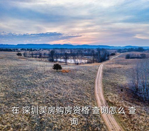 在 深圳买房购房资格 查询怎么 查询