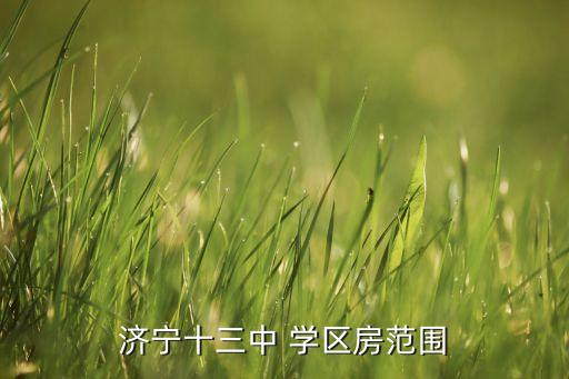 济宁十三中 学区房范围