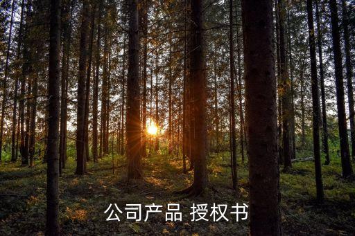 公司产品 授权书