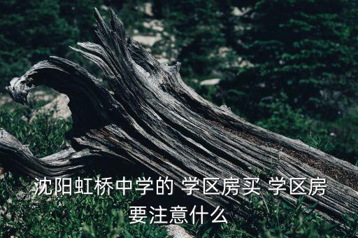  沈阳虹桥中学的 学区房买 学区房要注意什么
