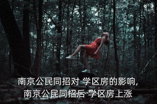 南京的学区房为什么这么贵,南京学区房为什么降价