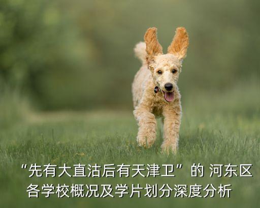 河东学区房怎么选,天津市河东实验小学学区房