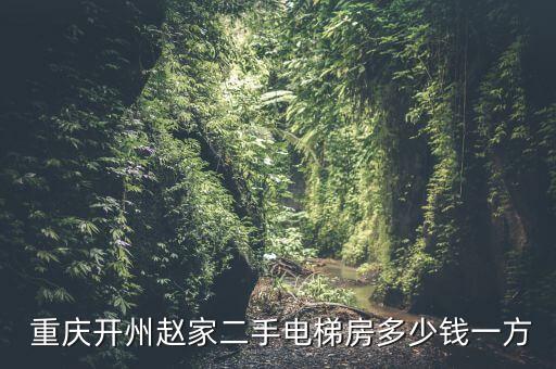  重庆开州赵家二手电梯房多少钱一方