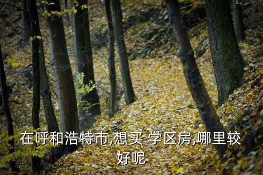 在呼和浩特市,想买 学区房,哪里较好呢