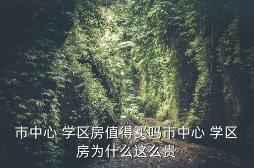 市中心 学区房值得买吗市中心 学区房为什么这么贵
